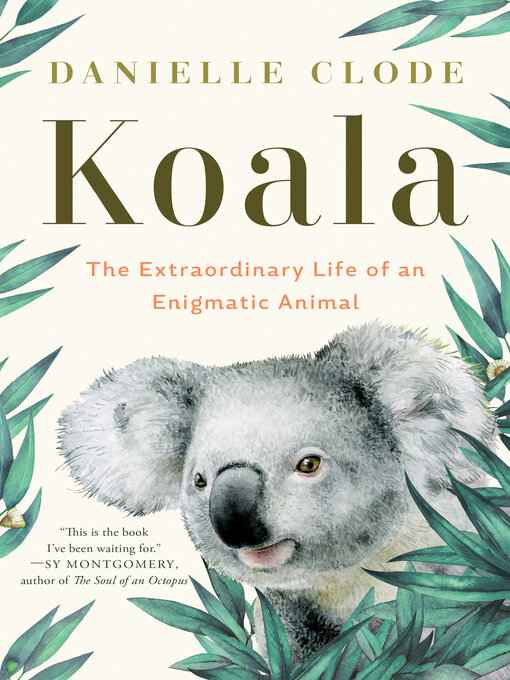 Nimiön Koala lisätiedot, tekijä Danielle Clode - Odotuslista